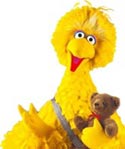 Big Bird